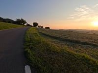 Oltingerstrasse from Oltingen