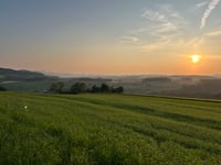 Oltingerstrasse from Oltingen