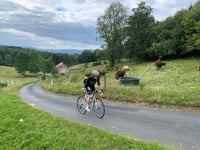 Omégoutte von Ban de Laveline über Coinchimont