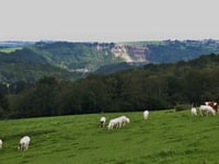 Côte d'Oneux