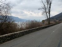 Ontex von Conjux