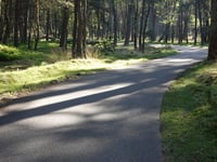 Onzalige Bossen da Posbank