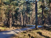 Onzalige Bossen da Posbank