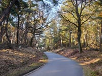 Onzalige Bossen da Posbank