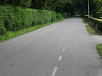 Heinrich Witteweg desde Bennekom