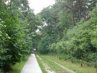 Heinrich Witteweg desde Bennekom
