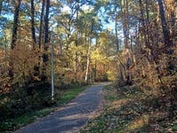 Oostervenne von Hoogzij