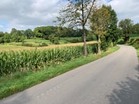 Op de Eiken