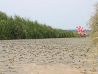 Op de Kriezel da Horpmaal