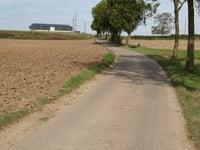 Op den Drinkaert desde Tongersesteenweg
