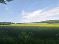 Op den Hövel über Höltkessteg