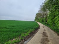 Op 't Reek von Herderen