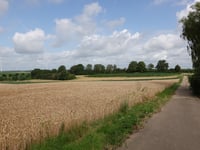 Op 't Reek von Herderen