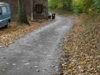 Opscheumer