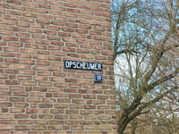 Opscheumer