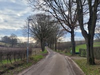Opscheumer