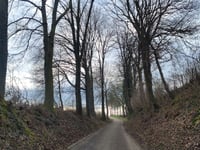 Opscheumer
