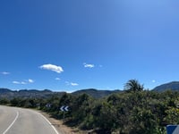 Orba