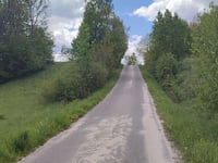 Orlina von Ciechanowice