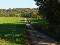 Orsbach par Bungartsweg
