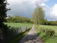 Orsbach par Bungartsweg