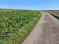 Orsmaalweg depuis Langstraat