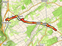 Ossenberg z Niederweis
