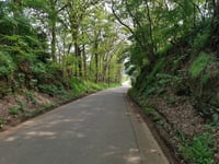 Ossenberg via Witteweg
