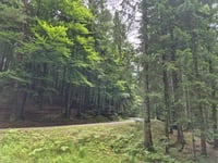 Ossiacher Tauern da Bösenlacken