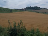Ottiglio via Sala Monferrato