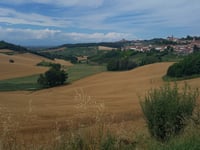 Ottiglio via Sala Monferrato