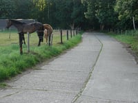 Oud Vliegveld da Heesdonk