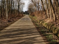 Oude Aarschotsebaan da Sint-Joris-Winge