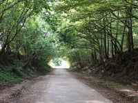 Oude Bocholtzerweg von Nijswiller