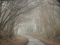 Oude Bocholtzerweg von Nijswiller
