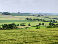 Oude Elkenraderweg