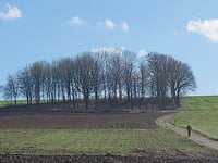 Oude Elkenraderweg