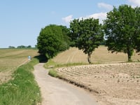 Oude Elkenraderweg