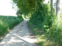 Oude Elkenraderweg
