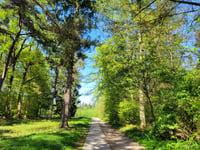 Oude Eltenseweg von Stokkum