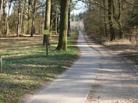 Oude Eltenseweg von Stokkum