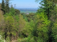 Oude Holleweg