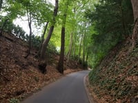 Oude Holleweg
