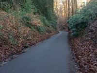 Oude Holleweg