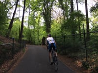 Oude Holleweg