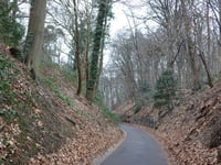 Oude Holleweg