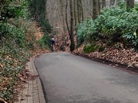 Oude Holleweg