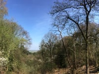 Oude Holleweg