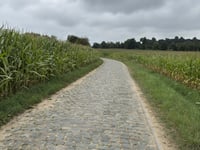 Oude Kwaremont