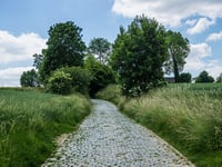 Oude Kwaremont